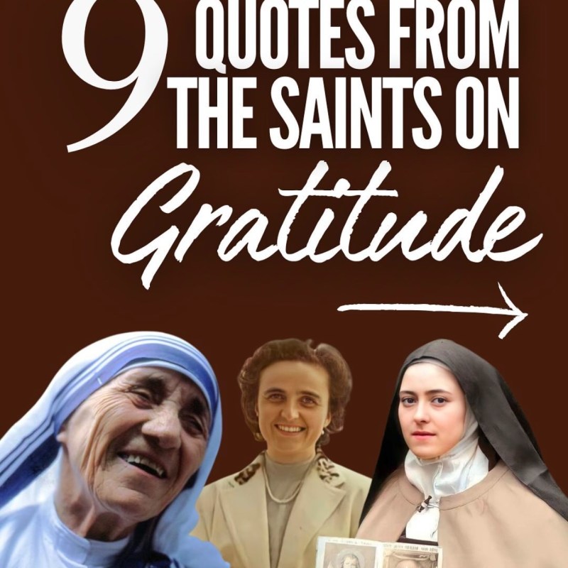 Thanksgiving Quotes!