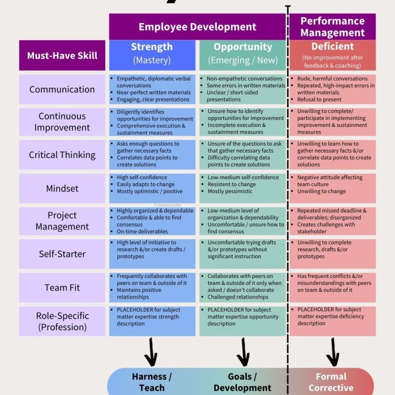 How to Assess, Guide, Mentor Your&nbsp;Team