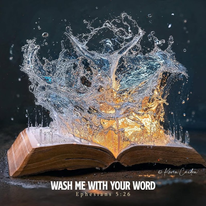 Washed in the Word: A Cleansing We All&nbsp;Need