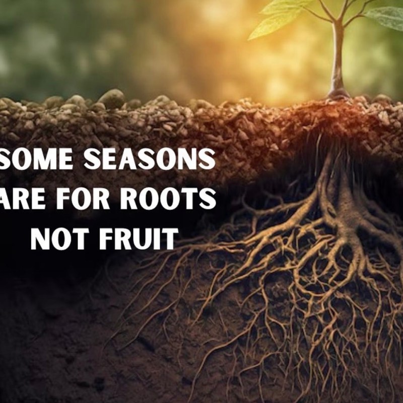 When Growth Looks Like&nbsp;Stillness