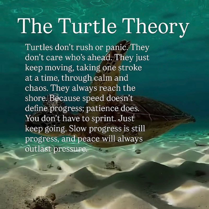 The Turtle Theory