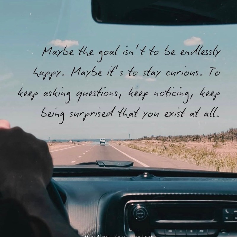 The Curiosity Theory