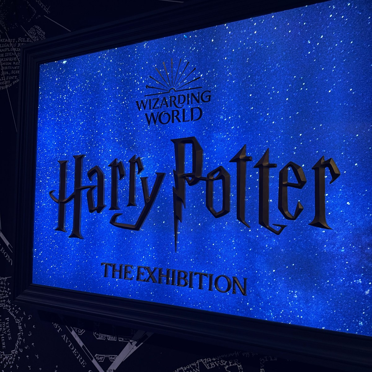 Weekend on Fast-Forward: Music, Animals & a Little&nbsp;Magic