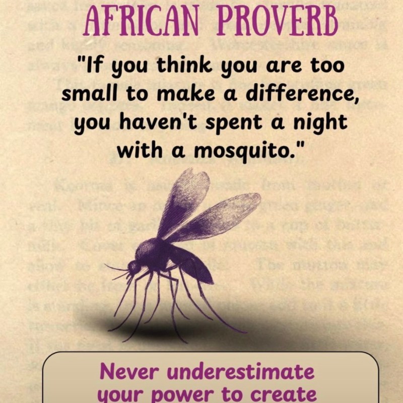 The Quiet Power of Small&nbsp;Things