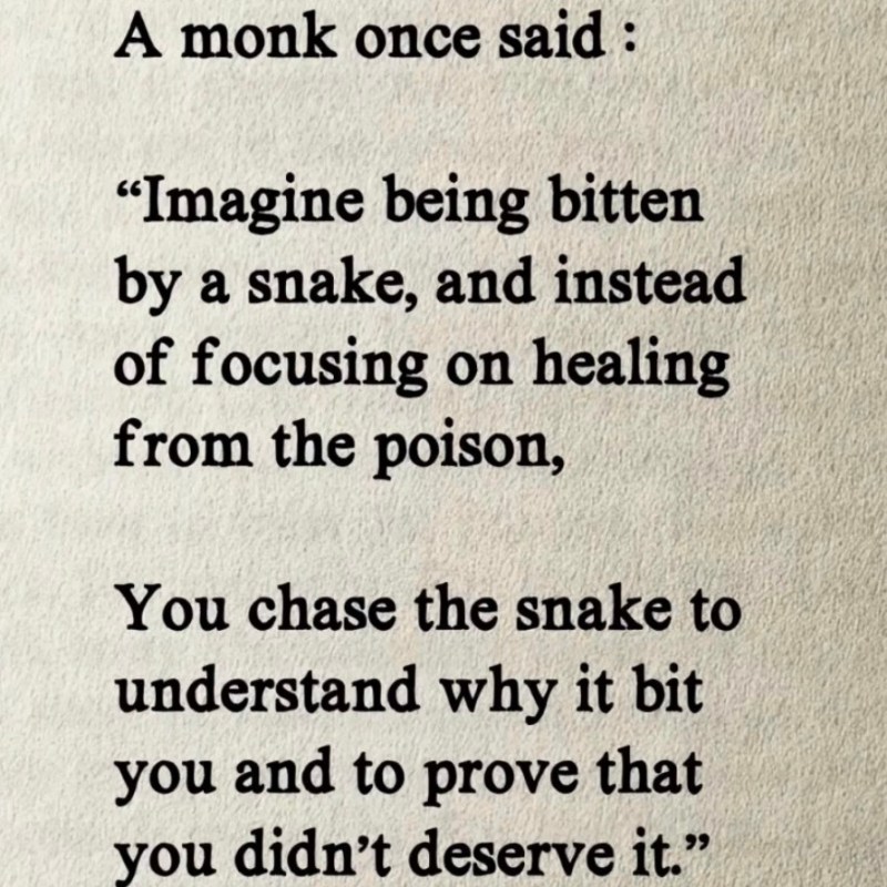 Don’t Chase the&nbsp;Snake