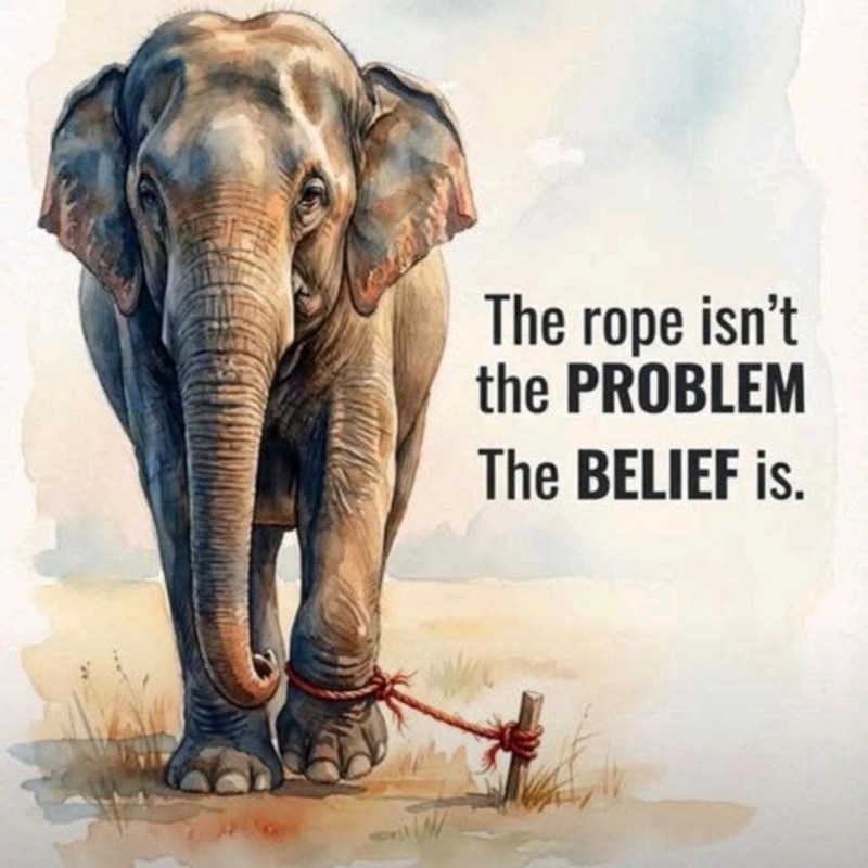 The Rope Was Never the&nbsp;Enemy