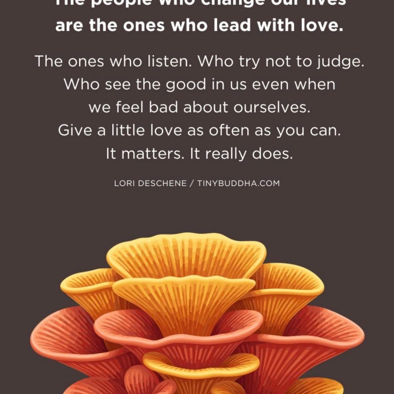 Love Is the Quiet Force That Changes&nbsp;Everything