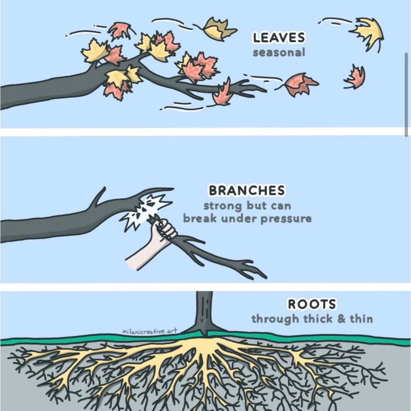 The Ones Who Stay, the Ones Who&nbsp;Sway