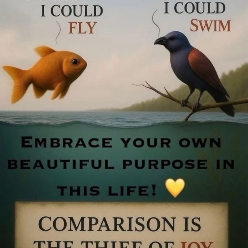 Bloom in Your Own&nbsp;Season