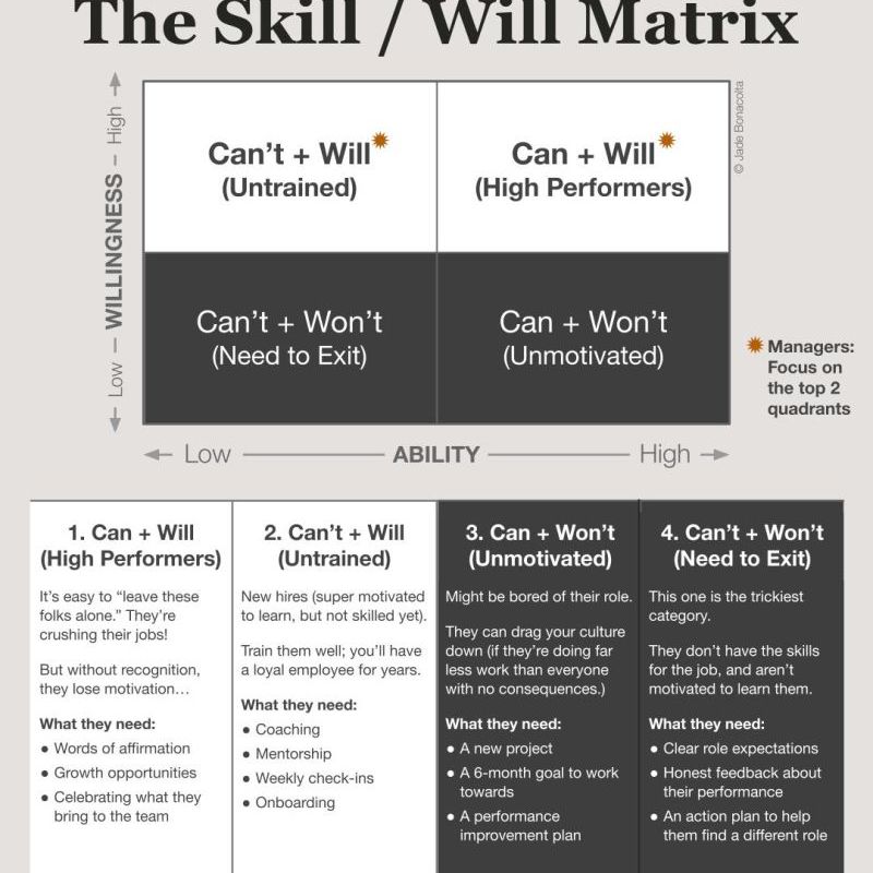 The Skill / Will&nbsp;Matrix