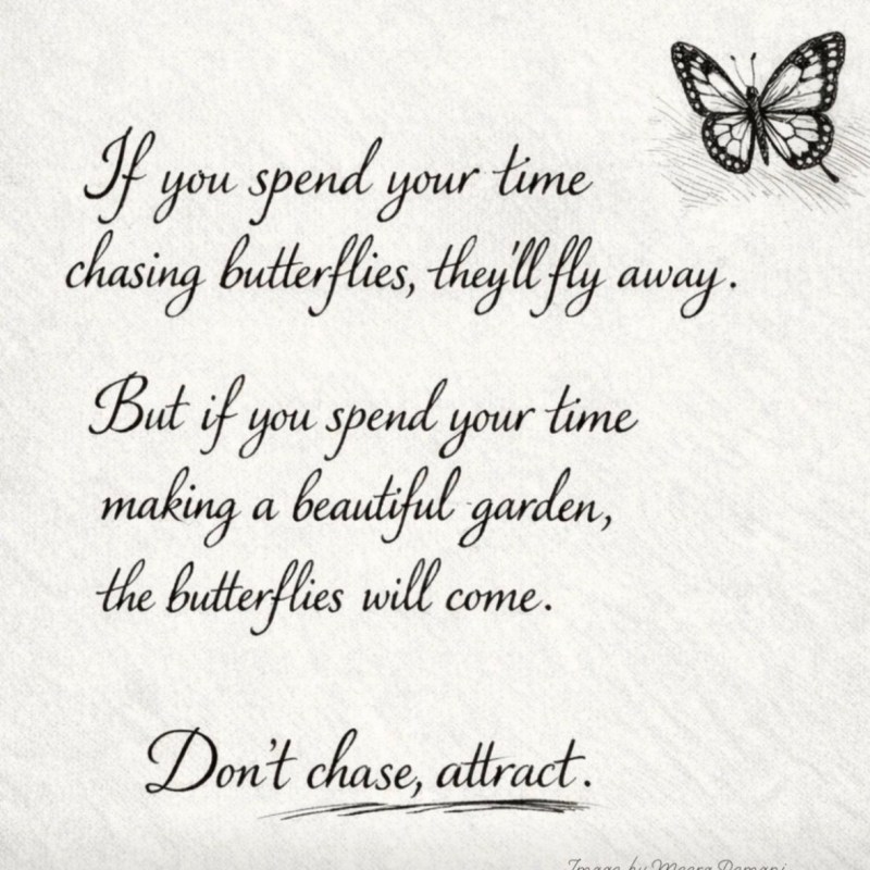 Stop Chasing Butterflies