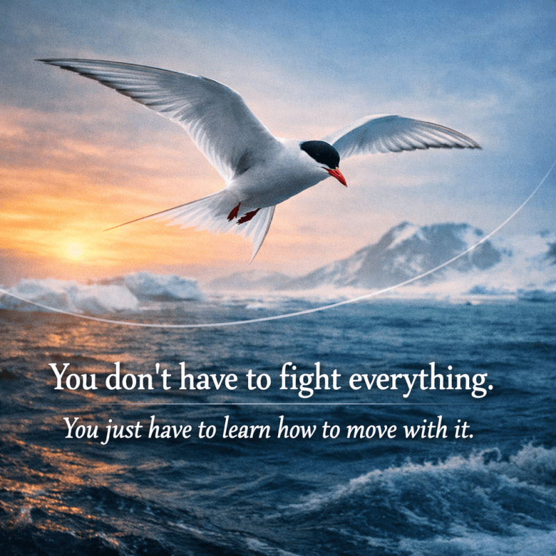 The Long Way That Gets You&nbsp;Further