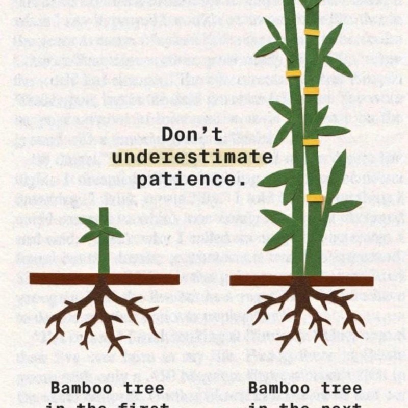 The Growth You Don’t See&nbsp;Yet