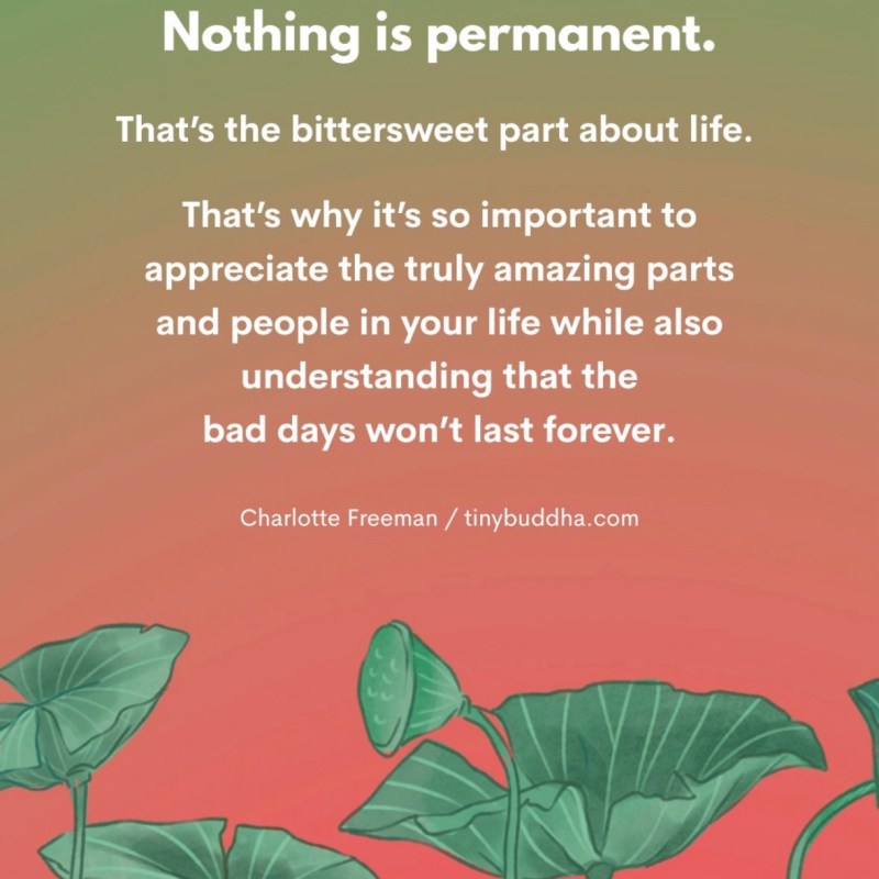 Borrowed Moments