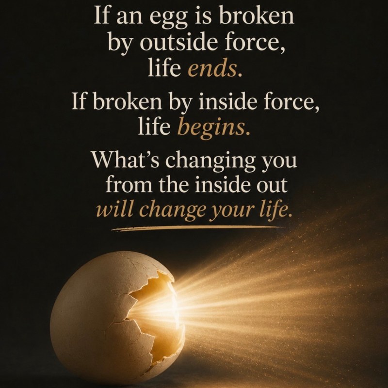 Cracks That Create&nbsp;You