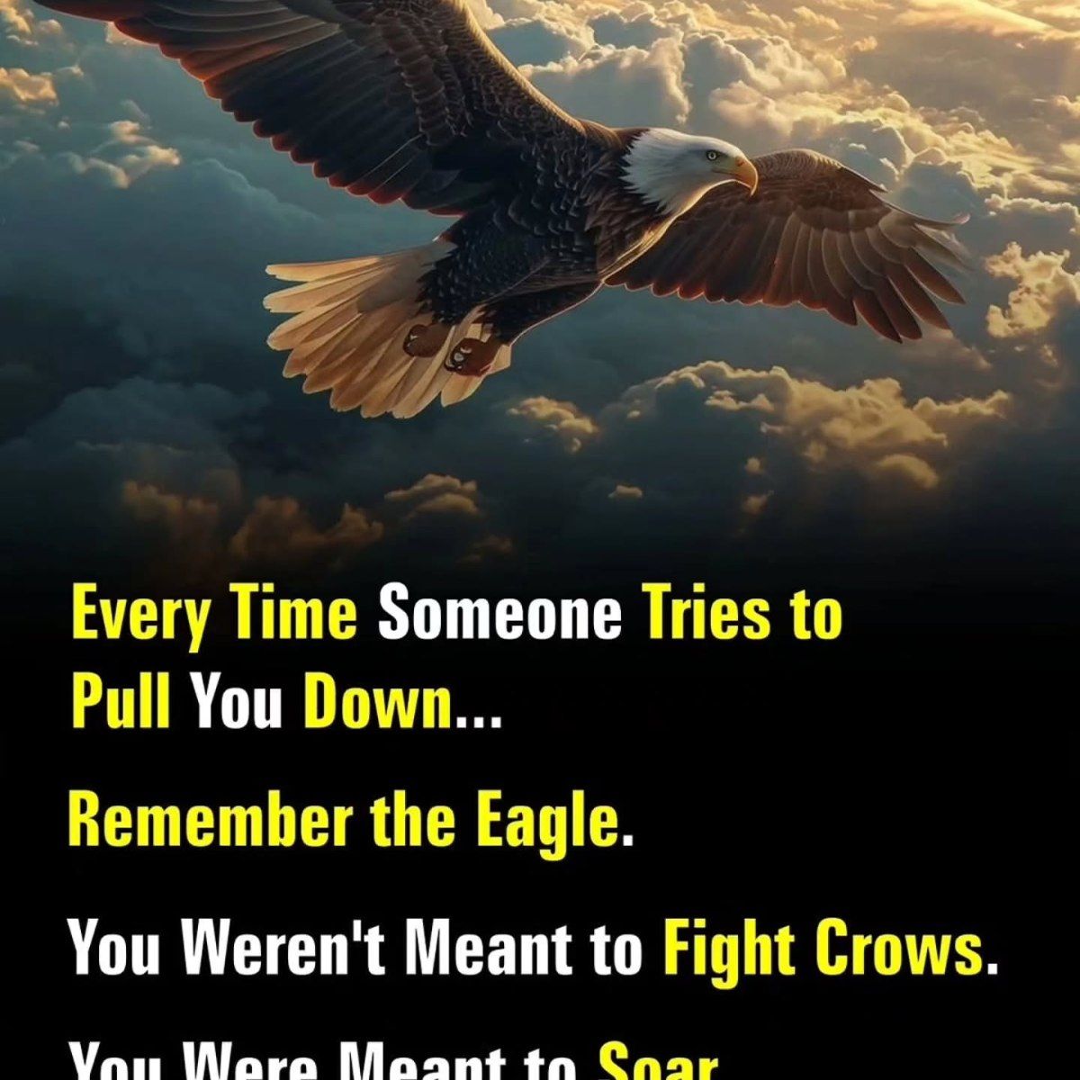 You Were Meant To&nbsp;Soar