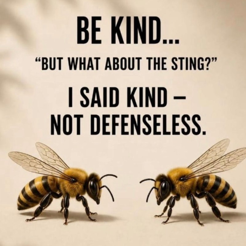 The Difference Between Kind and&nbsp;Defenseless