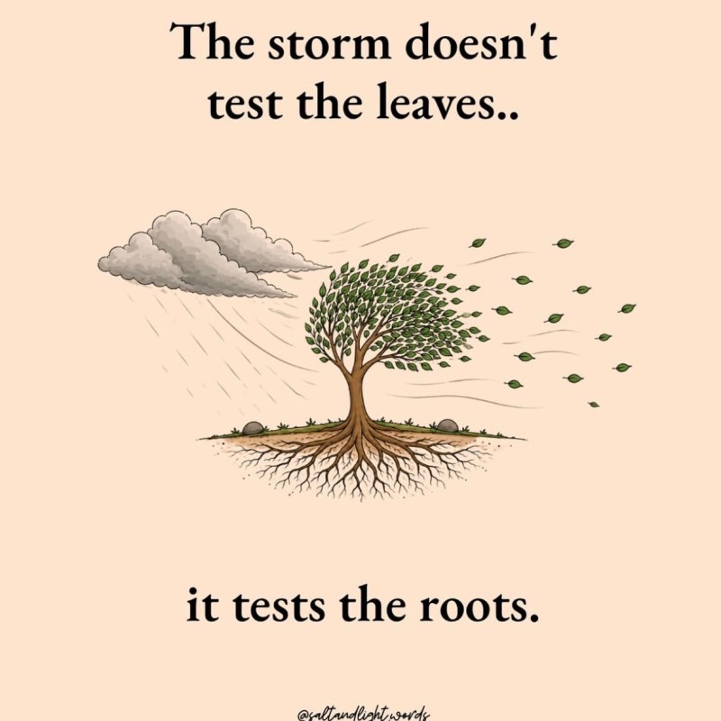 Strong Enough For The&nbsp;Storm