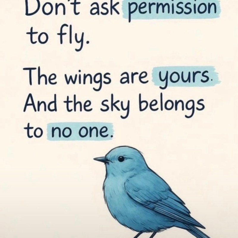 The Sky Never Asked For Your&nbsp;Resume