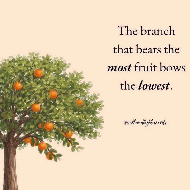 The Humble Branch