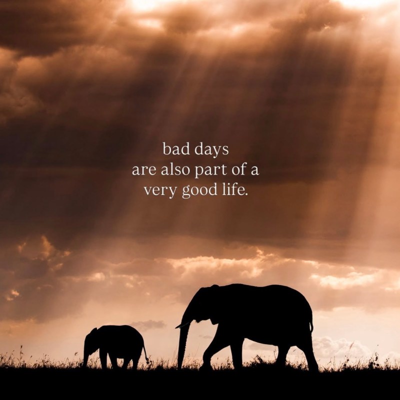 A good life can still have terrible&nbsp;Tuesdays!